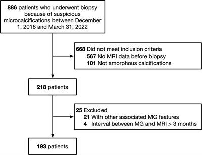 The value of DCE- MRI of the breast as a diagnostic tool in assessing amorphous calcifications in screening mammography